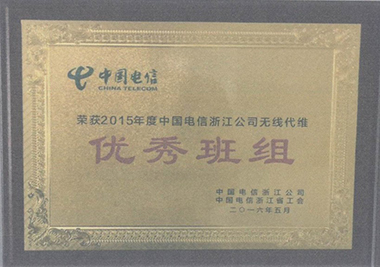 2015年度中國電信浙江公司無線代維優(yōu)秀班組