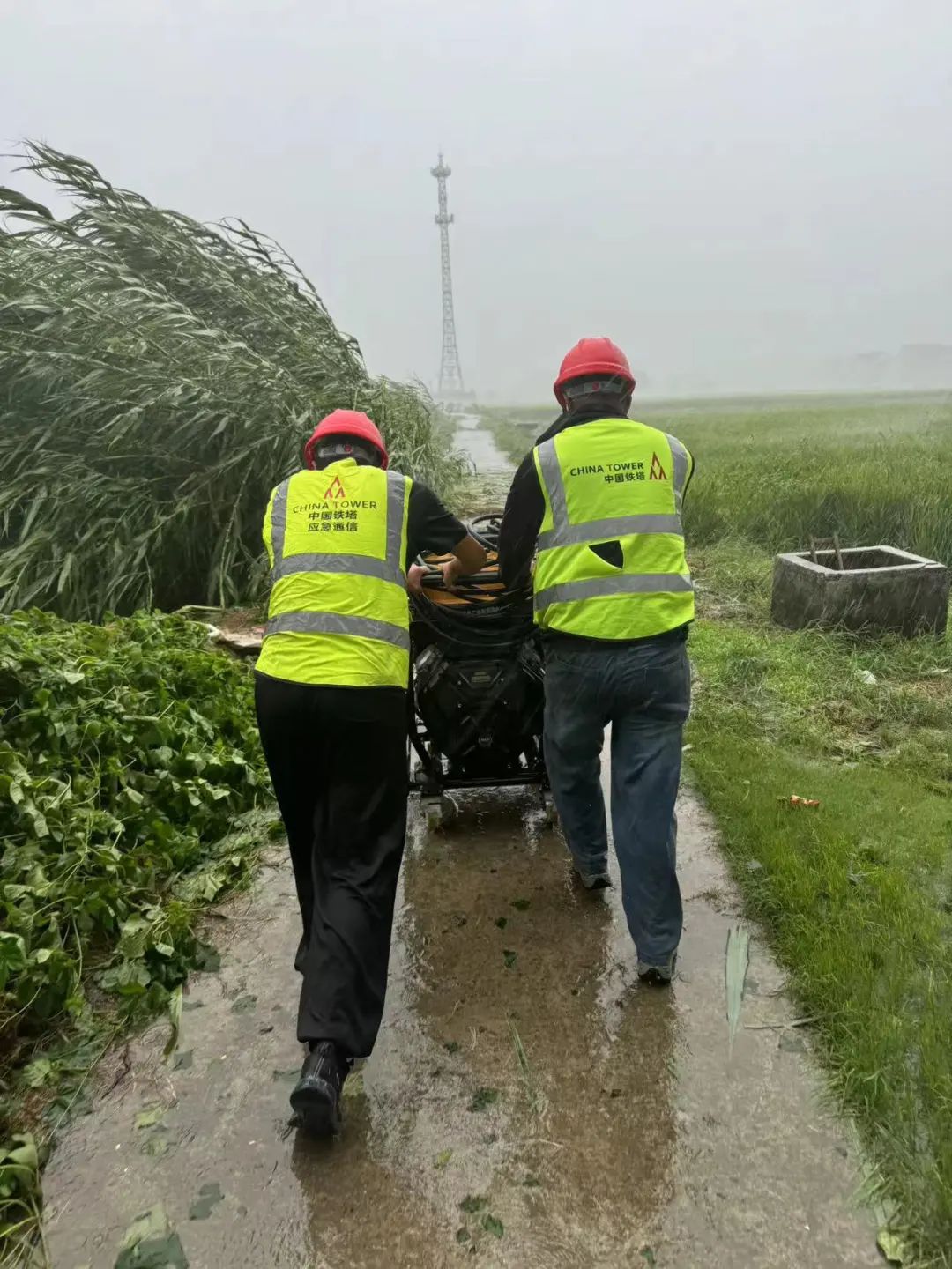 堅守一線，力保通信---記依網科技上海鐵塔項目部奮戰“貝碧嘉”